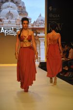 Model walks for Apala by Sumit for IIJW 2013 in  Mumbai on 4th Aug 2013 (45).JPG