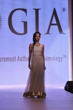 Model walk the ramp for Gia on Day 3 of IIJW 2013 on 6th Aug 2013 (45).JPG