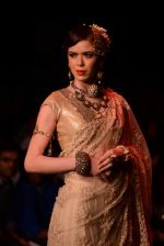 Model walk the ramp for Golecha Jewels on Day 3 of IIJW 2013 on 6th Aug 2013 (4).JPG