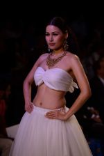 Model walk the ramp for pallavi foley Show at IIJW 2013 on 6th Aug 2013 (19).JPG