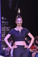 Model walk the ramp for Adora on Day 4 of IIJW 2013 on 7th Aug 2013 (20).JPG