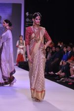 Model walk the ramp for Adora on Day 4 of IIJW 2013 on 7th Aug 2013 (41).JPG