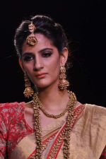 Model walk the ramp for Adora on Day 4 of IIJW 2013 on 7th Aug 2013 (43).JPG