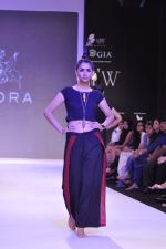 Model walk the ramp for Adora on Day 4 of IIJW 2013 on 7th Aug 2013 (6).JPG