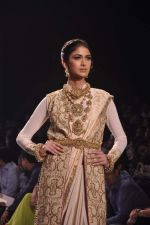 Model walk the ramp at the Grand Finale of IIJW 2013 on 8th Aug 2013 (120).JPG