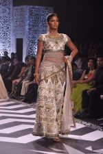 Model walk the ramp at the Grand Finale of IIJW 2013 on 8th Aug 2013 (127).JPG