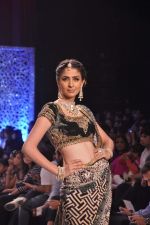 Model walk the ramp at the Grand Finale of IIJW 2013 on 8th Aug 2013 (165).JPG