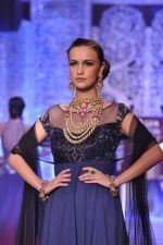 Model walk the ramp at the Grand Finale of IIJW 2013 on 8th Aug 2013 (55).JPG
