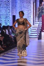 Model walk the ramp at the Grand Finale of IIJW 2013 on 8th Aug 2013 (87).JPG
