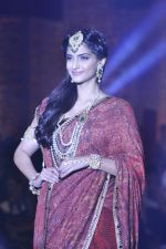 Sonam Kapoor walk the ramp at the Grand Finale of IIJW 2013 on 8th Aug 2013 (105).JPG