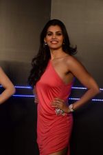 at Miss Diva press meet in Westin Hotel, Mumbai on 21st Aug 2013 (22).JPG