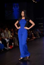 Model walk the ramp for Global Desi show at LFW 2013 Day 3 in Grand Haytt, Mumbai on 25th Aug 2013 (41).JPG