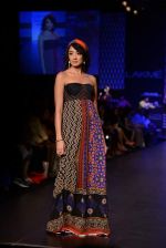 Model walk the ramp for Global Desi show at LFW 2013 Day 3 in Grand Haytt, Mumbai on 25th Aug 2013 (54).JPG
