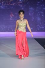 Model walks for Riddhi-Siddhi at The Style Walk at LFW 2013 Day 6 in Grand Haytt, Mumbai on 28th Aug 2013 (308).JPG