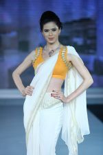 Model walks for Riddhi-Siddhi at The Style Walk at LFW 2013 Day 6 in Grand Haytt, Mumbai on 28th Aug 2013 (364).JPG