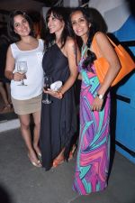 Manasi Scott, Narayani Shastri, Suchitra Pillai at the launch of The Collective style Book - Green Room in Mumbai on 31st Aug 2013 (61).JPG