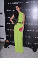 Nishka Lulla at the launch of The Collective style Book - Green Room in Mumbai on 31st Aug 2013 (76).JPG