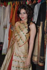 Shonali Nagrani at Atosa-Nikhil Thampi-Virtuous fashion preview in Mumbai on 6th Sept 2013 (3).JPG