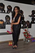 at Atosa-Nikhil Thampi-Virtuous fashion preview in Mumbai on 6th Sept 2013 (17).JPG