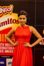at South Indian International Movie Awards 2013 Next Gen and Music Awards day 1 on 12th Sept 2013 (83).jpg