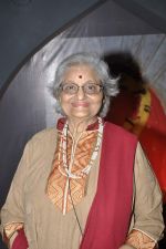 at Musical audio release of film My friend Husain at Andheri cha Raja in Mumbai on 20th Sept 2013 (46).JPG