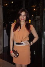 Shama Sikander at the Launch of Bollyboom & Red Carpet in Atria Mall, Mumbai on 27th Sept 2013 (125).JPG