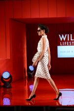 Model walks for Ashish Soni - grand finale at Wills day 5 on WIFW 2014 on 13th Oct 2013 (14)_525cbf26145fe.JPG