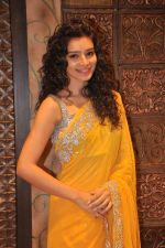 Sukirti Kandpal at Telly Calendar launch with Bawree Fashions to be shot in Malaysia on 15th Oct 2013 (48)_525ff1ab6b871.JPG