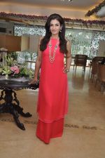 Raveena Tandon at Raveena Tandon and Roopa Vohra_s jewellery line launch in Mumbai on 18th Oct 2013(239)_52622165618b6.JPG