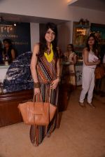 at Raveena Tandon and Roopa Vohra_s jewellery line launch in Mumbai on 18th Oct 2013 (3)_526219382b3db.JPG