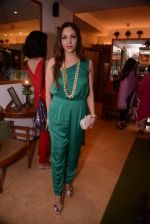 at Raveena Tandon and Roopa Vohra_s jewellery line launch in Mumbai on 18th Oct 2013 (80)_52621995453a2.JPG