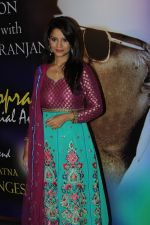 Ada Khan at Yash Chopra Memorial Awards in Mumbai on 19th Oct 2013_5263d5eea253b.jpg