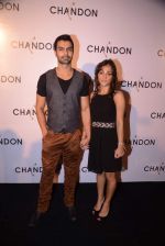 Ashmit Patel at Moet Hennesey launch of Chandon wines made now in India in Four Seasons, Mumbai on 19th Oct 2013 (131)_5263ec1d46852.JPG