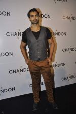 Ashmit Patel at Moet Hennesey launch of Chandon wines made now in India in Four Seasons, Mumbai on 19th Oct 2013(324)_5263ec1fe50f8.JPG