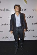 Dino Morea at Moet Hennesey launch of Chandon wines made now in India in Four Seasons, Mumbai on 19th Oct 2013(277)_5263ec63dfbab.JPG