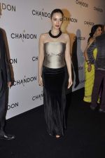 Evelyn Sharma at Moet Hennesey launch of Chandon wines made now in India in Four Seasons, Mumbai on 19th Oct 2013(424)_5263ec84194a2.JPG