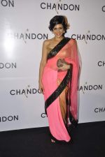 Mandira Bedi at Moet Hennesey launch of Chandon wines made now in India in Four Seasons, Mumbai on 19th Oct 2013(358)_5263ed1837124.JPG