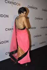 Mandira Bedi at Moet Hennesey launch of Chandon wines made now in India in Four Seasons, Mumbai on 19th Oct 2013(359)_5263ed1aa6c98.JPG