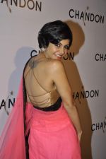 Mandira Bedi at Moet Hennesey launch of Chandon wines made now in India in Four Seasons, Mumbai on 19th Oct 2013(360)_5263ed1d6ad45.JPG