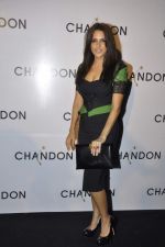 Neha Dhupia at Moet Hennesey launch of Chandon wines made now in India in Four Seasons, Mumbai on 19th Oct 2013(237)_5263ed6fbf705.JPG