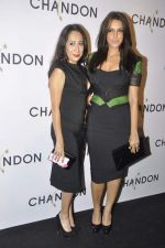 Neha Dhupia at Moet Hennesey launch of Chandon wines made now in India in Four Seasons, Mumbai on 19th Oct 2013(244)_5263ed8173c4c.JPG