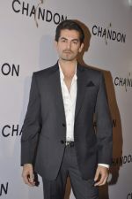 Neil Mukesh at Moet Hennesey launch of Chandon wines made now in India in Four Seasons, Mumbai on 19th Oct 2013(410)_5263ed6ed2df2.JPG