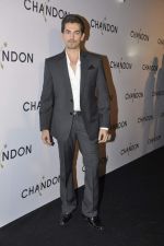 Neil Mukesh at Moet Hennesey launch of Chandon wines made now in India in Four Seasons, Mumbai on 19th Oct 2013(411)_5263ed713e579.JPG