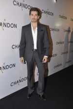 Neil Mukesh at Moet Hennesey launch of Chandon wines made now in India in Four Seasons, Mumbai on 19th Oct 2013(412)_5263ed72d8732.JPG