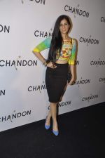 Nishka Lulla at Moet Hennesey launch of Chandon wines made now in India in Four Seasons, Mumbai on 19th Oct 2013(234)_5263ed7ad9692.JPG