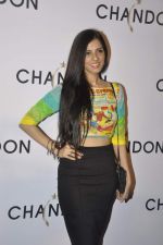 Nishka Lulla at Moet Hennesey launch of Chandon wines made now in India in Four Seasons, Mumbai on 19th Oct 2013(236)_5263ed83dc6eb.JPG