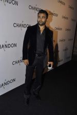 Sachiin Joshi at Moet Hennesey launch of Chandon wines made now in India in Four Seasons, Mumbai on 19th Oct 2013(392)_5263edc50c18e.JPG