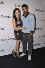 Shabbir Ahluwalia at Moet Hennesey launch of Chandon wines made now in India in Four Seasons, Mumbai on 19th Oct 2013(474)_5263ede45d1d4.JPG