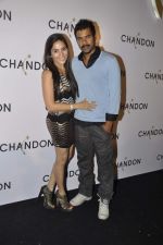 Shabbir Ahluwalia at Moet Hennesey launch of Chandon wines made now in India in Four Seasons, Mumbai on 19th Oct 2013(476)_5263ede909c0a.JPG