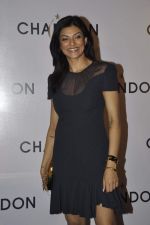 Sushmita Sen at Moet Hennesey launch of Chandon wines made now in India in Four Seasons, Mumbai on 19th Oct 2013(286)_5263ef5878484.JPG